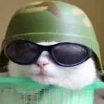 captain