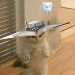 captain