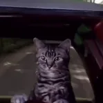 captain