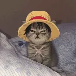 captain